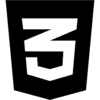 CSS Logo